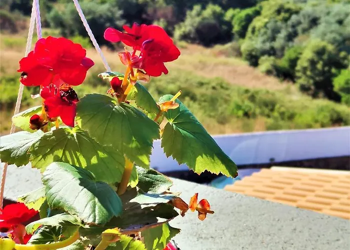 Heaven House With Pool Apartmán *