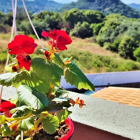 Heaven House With Pool Apartamento *